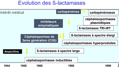 Evolution des bêta-lactamases.png