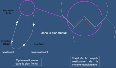 Capture d’écran 2023-03-28 à 20.18.49.png