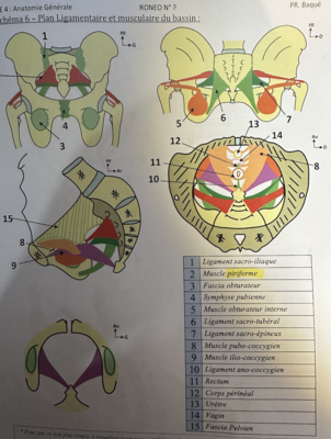 Screenshot 2023-03-28 at 22.36.23.png