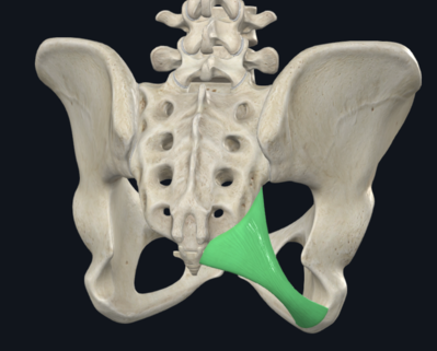 Screenshot 2023-03-28 at 22.54.21.png