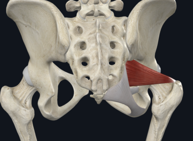 Screenshot 2023-03-28 at 22.56.41.png