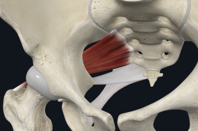 Screenshot 2023-03-28 at 22.57.53.png