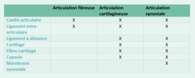 récap articulations.png