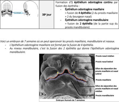 Capture d’écran 2023-03-29 à 16.57.17.png