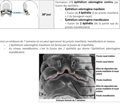 Ouvrir le dossier MAJ.png