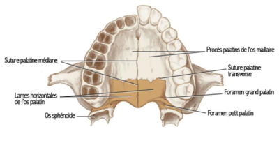 Capture d’écran 2023-03-30 à 08.11.45.png