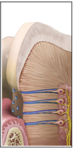 Capture d’écran 2023-03-31 à 10.40.08.png