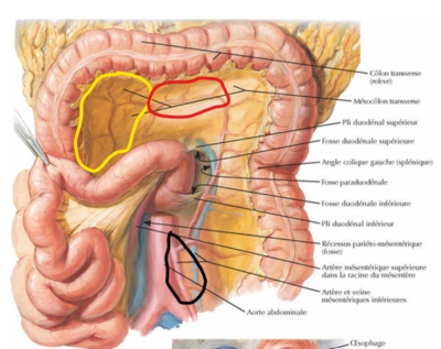 arcade de riolan .png