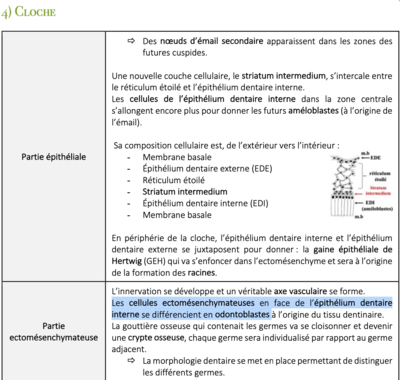 Capture d’écran 2023-03-31 à 22.59.10.png