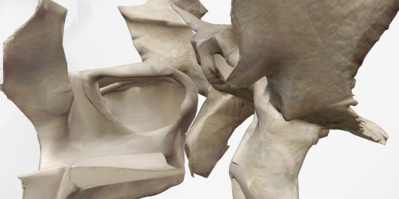 Capture d’écran 2023-04-01 à 07.34.56.png