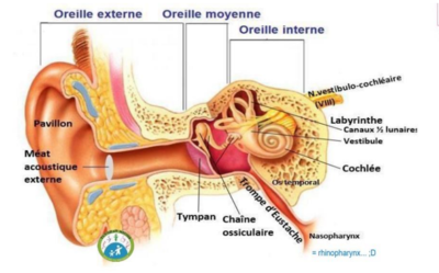 Capture d'écran 2023-04-03 221733.png