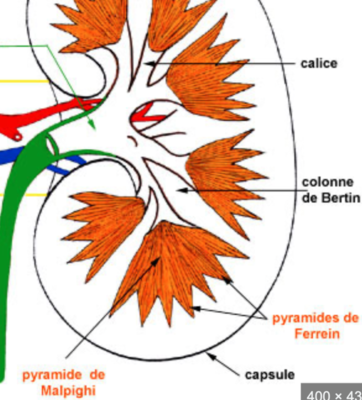 Capture d’écran 2023-04-09 à 18.05.55.png