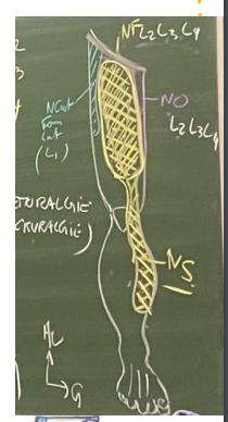 zone en raquette .png