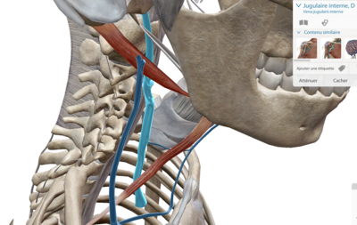 Capture d’écran 2023-04-12 à 19.23.26.png