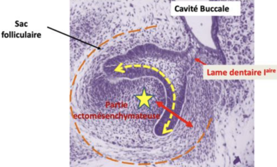 Capture d’écran 2023-04-15 à 15.46.45.png