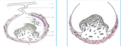 Capture d’écran 2023-04-15 à 15.47.30.png