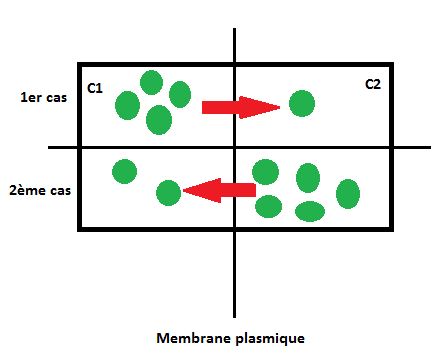diffusion passive.png