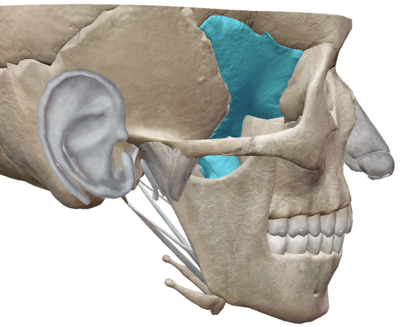 Capture d’écran 2023-04-16 à 11.32.22.png