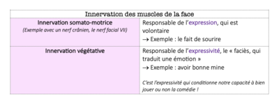 Récap innervation de la face.png