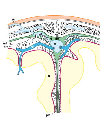Capture d’écran 2023-04-20 à 17.37.13.png