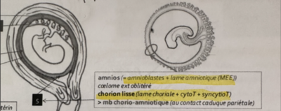 Screenshot 2023-04-21 at 12.00.53.png