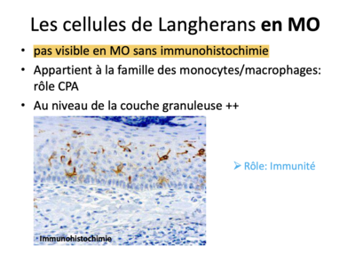 Capture d’écran 2023-04-21 à 23.44.40.png