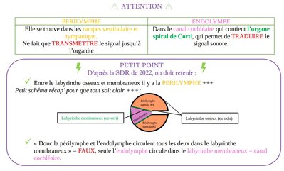 Périlymphe endolymphe conduit cochléaire.jpg