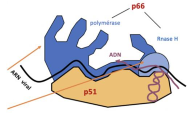 Capture d’écran 2023-04-24 à 21.17.12.png
