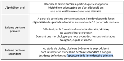Capture d’écran 2023-04-25 à 19.45.10.png