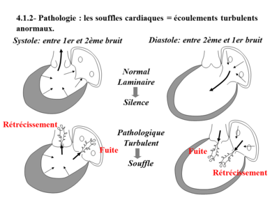 Biophysique Cardiaque 2012 Part 1 (1).png