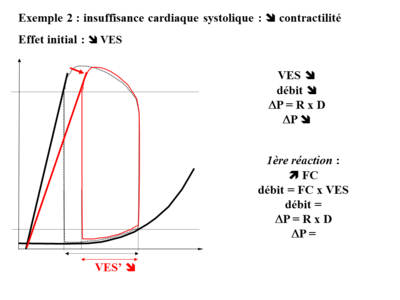 Biophysique Cardiaque 2012 Part 2 (3).png