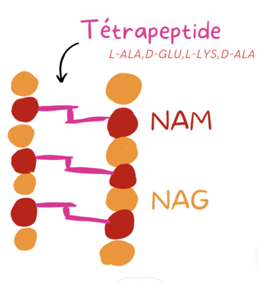 Capture d’écran 2023-06-13 à 17.51.33.png