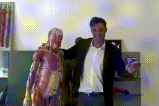 VID_20230805_154027 (1).gif