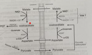 Capture d’écran 2023-08-18 094714.png