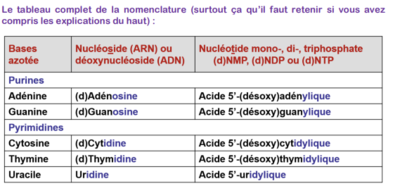 Capture d'écran 2023-08-19 181600.png