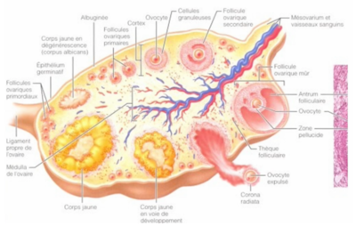 Capture d'écran 2023-08-19 203453.png