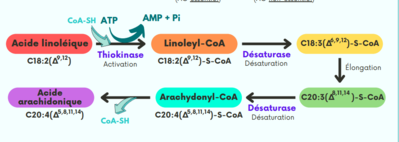 Capture d'écran 2023-08-27 125153.png