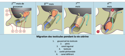 Capture d’écran 2023-08-29 à 09.03.19.png