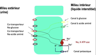 Capture d’écran 2023-08-30 à 22.31.21.png