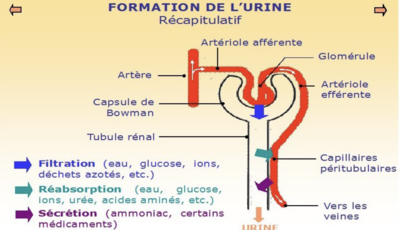 Capture d’écran 2023-08-30 à 22.21.21.png