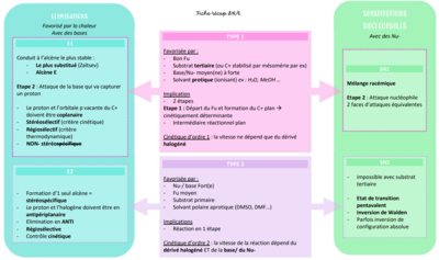 fiche récap sn e ancetre.PNG