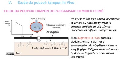 Image 01-09-2023 à 10.12.jpeg