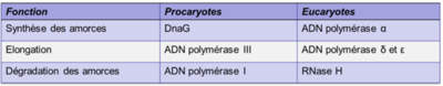 Enzymes.png