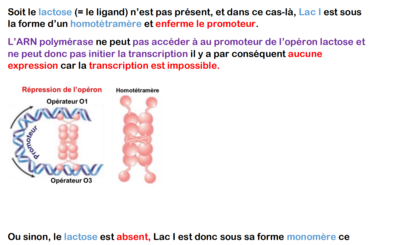 Capture d'écran 2023-09-05 110105.png