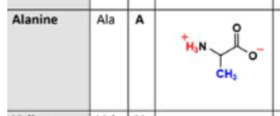 Capture d’écran 2023-09-06 à 11.58.07.png