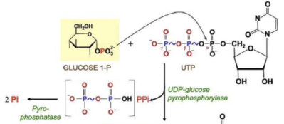 Capture d'écran 2023-09-06 154646.png