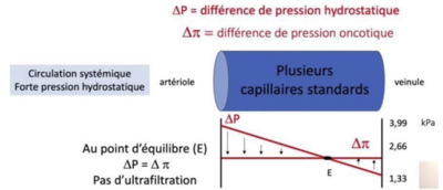 Capture d’écran 2023-09-06 à 20.23.32.png