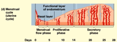 Capture d’écran 2023-09-06 214912.png