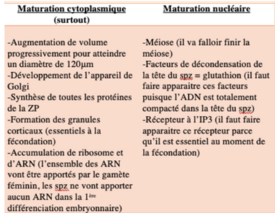 Capture d’écran 2023-09-07 à 17.08.12.png