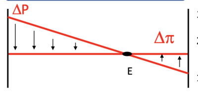 Capture d’écran 2023-09-13 à 14.38.53.png
